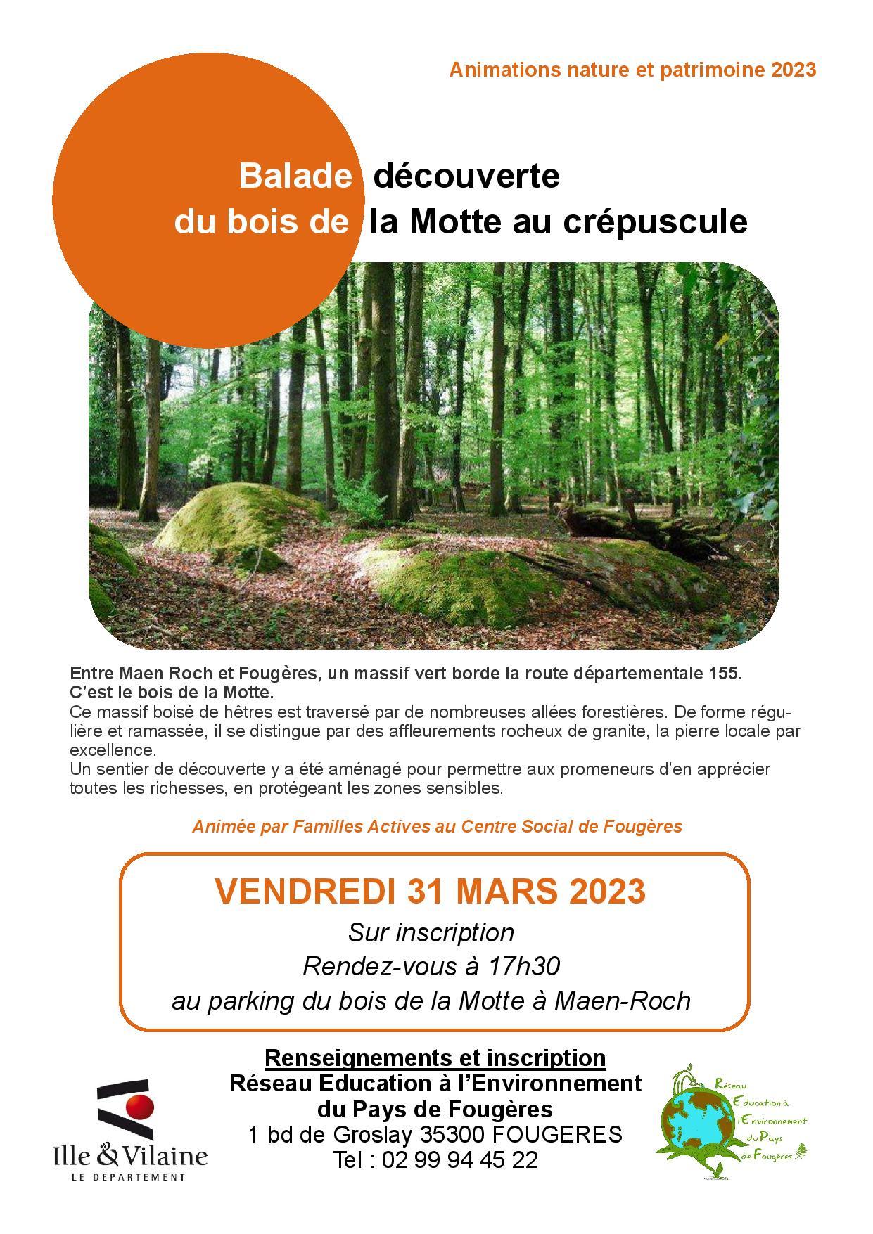 Balade bois de la motte mars 2023