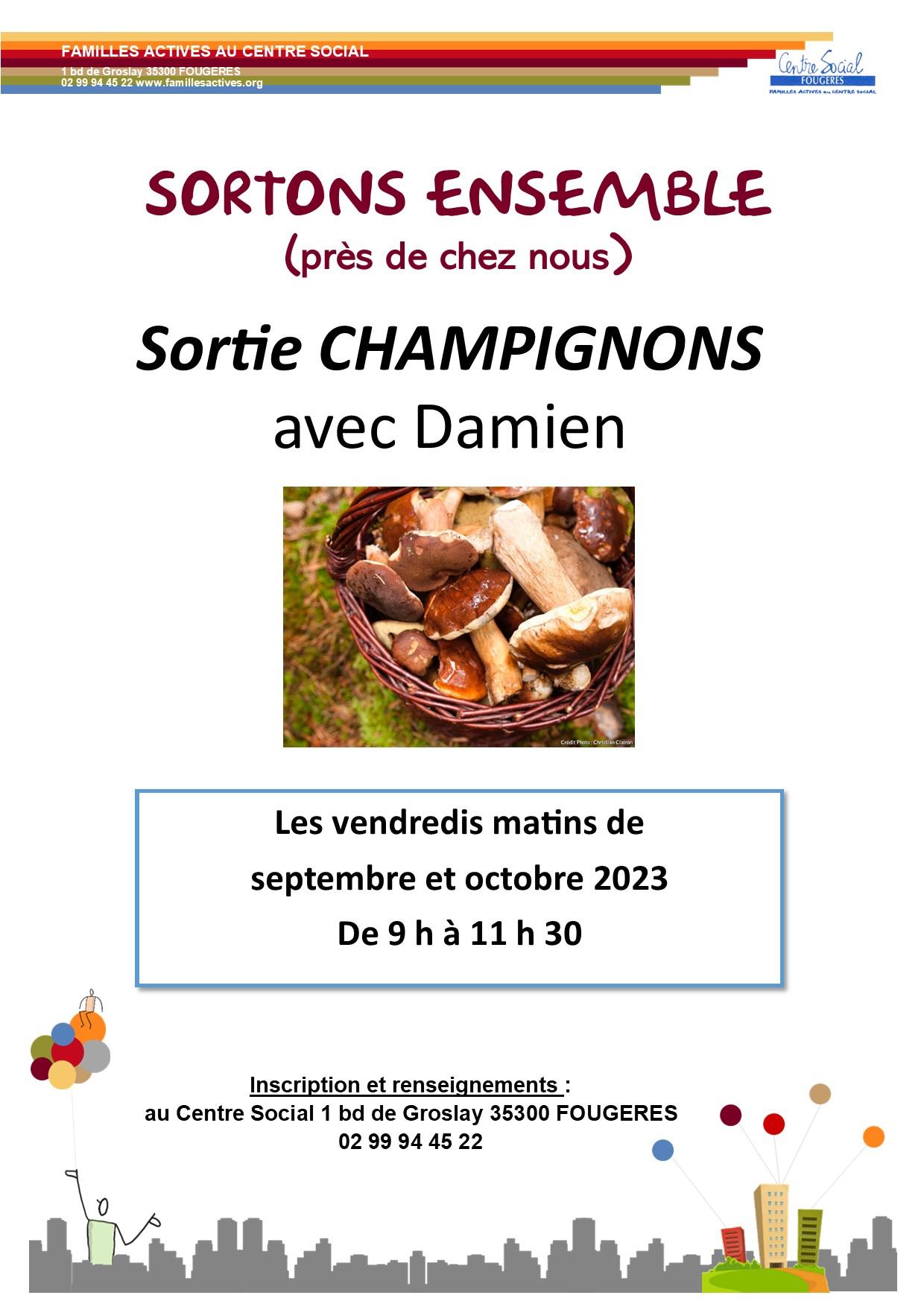 Sortie champignons
